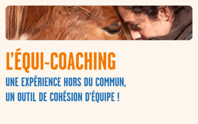 L’équi-coaching : un outil de cohésion d’équipe !