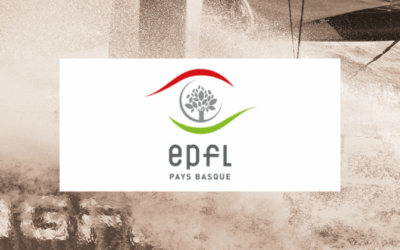 Directeur(rice) (H/F)