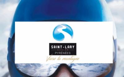 Directeur/Directrice (H/F)